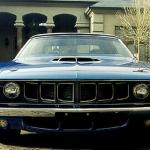 71BlueCuda-Nose