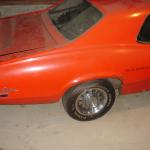 69 cougar Elim