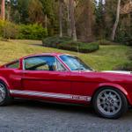 66Shelby