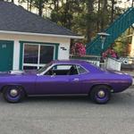 1970 Plum Hemi Cuda 4 speed